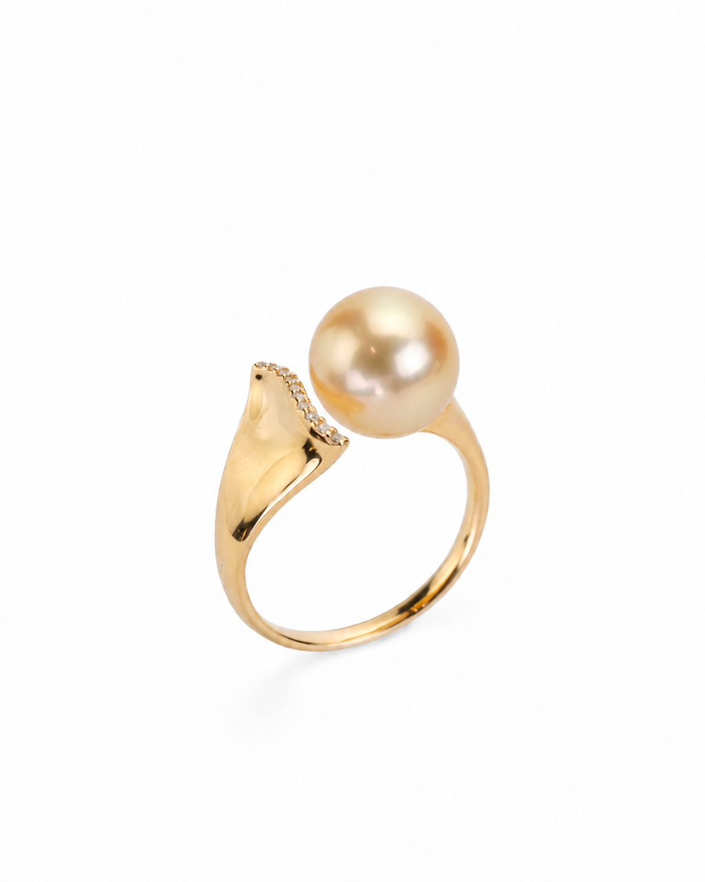 Arc Ring
