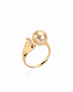 Arc Ring